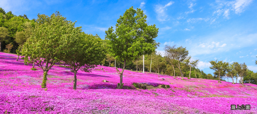 瀧上公園